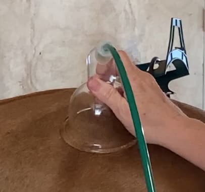 Equine Cupping